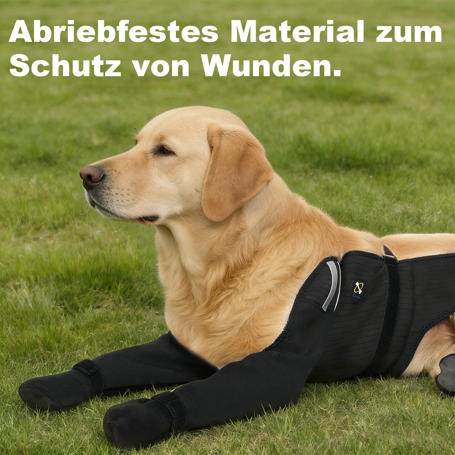 COODEO Hundefüße Socken für Alle 4 Pfoten, Wasserfest rutschfest Einfach Anzuziehen, Lickschutz Pfoten-Schutz, Langlebig Warm Salzfest, für Regen Schnee Nach OP Wundpflege Tagesgebrauch (Schwarz, XL)