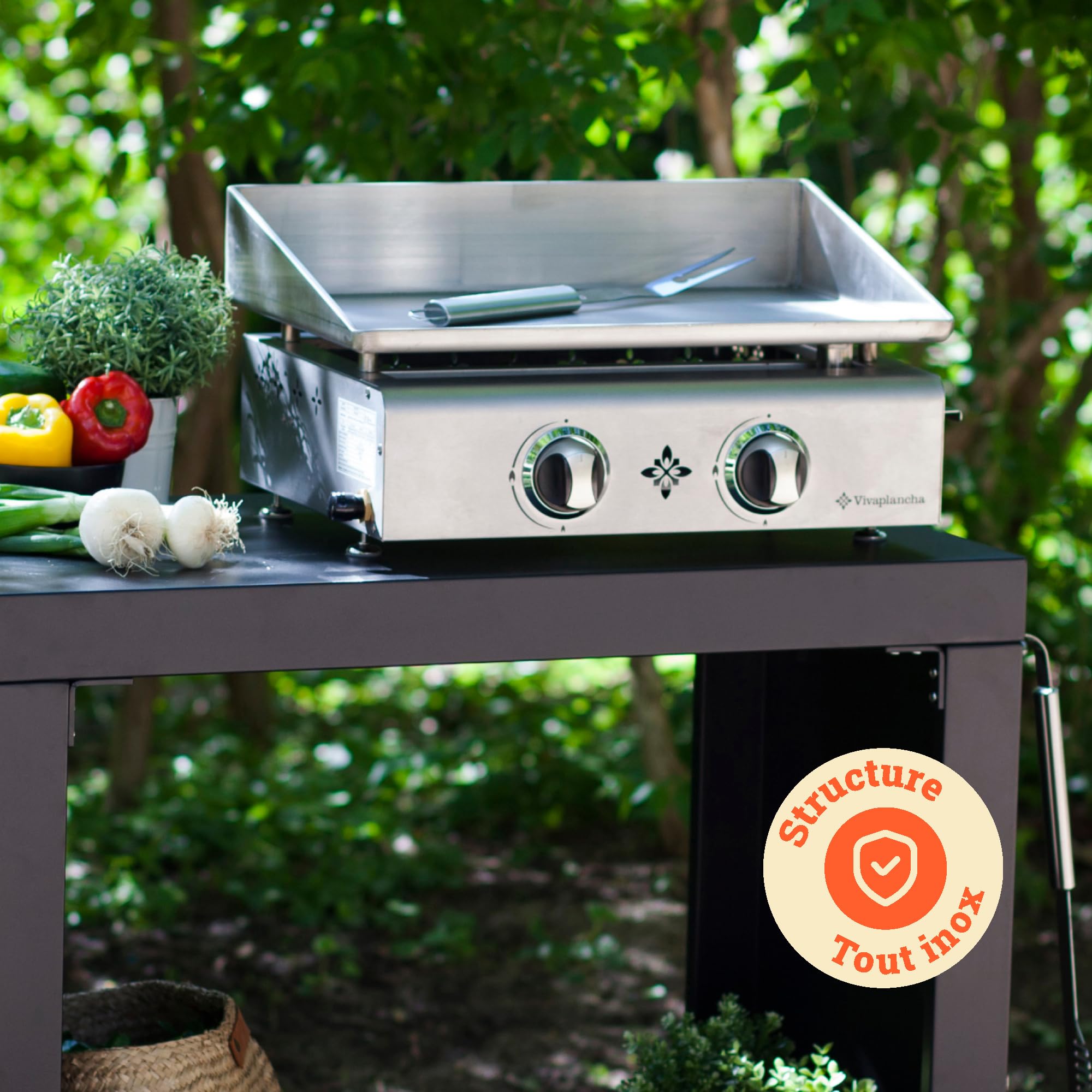 LOER Vivaplancha Plancha Gaz Tout INOX 2 Feux 5 KW - Anti-adhésive et Nettoyage Facile modèle Flamenco