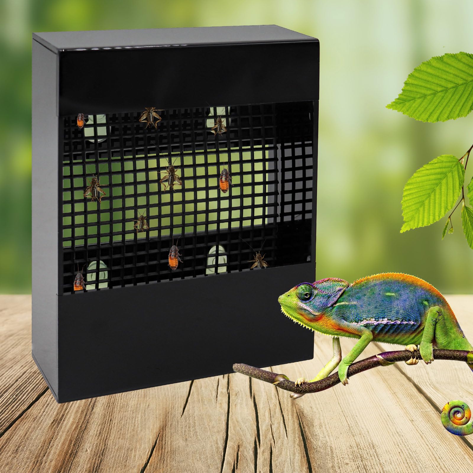 Chameleon Feeder, Bearded Dragon Bug Bowl, Black Acrylic Reptile Feeding Box, Wall-Mounted Insect Feeder with Suction Cups, Tank and Aquarium Accessories for Lizard Bearded Dragon Gecko