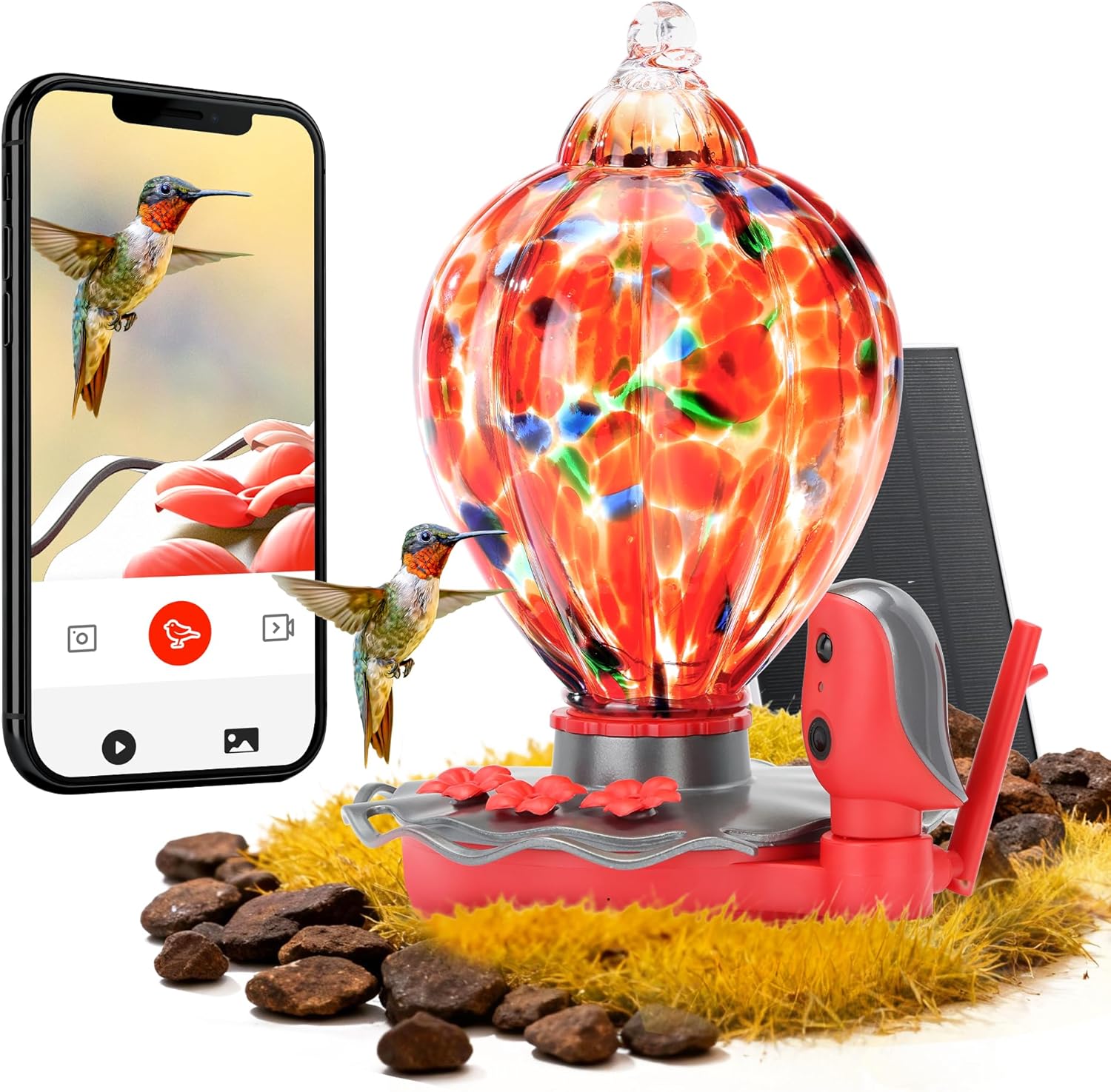 Smart Glass Hummingbird Feeder with Camera Solar Powered 2K- AI Identify & Water Detection, Instant Notification, Leakproof & Ant Moat TT Nature