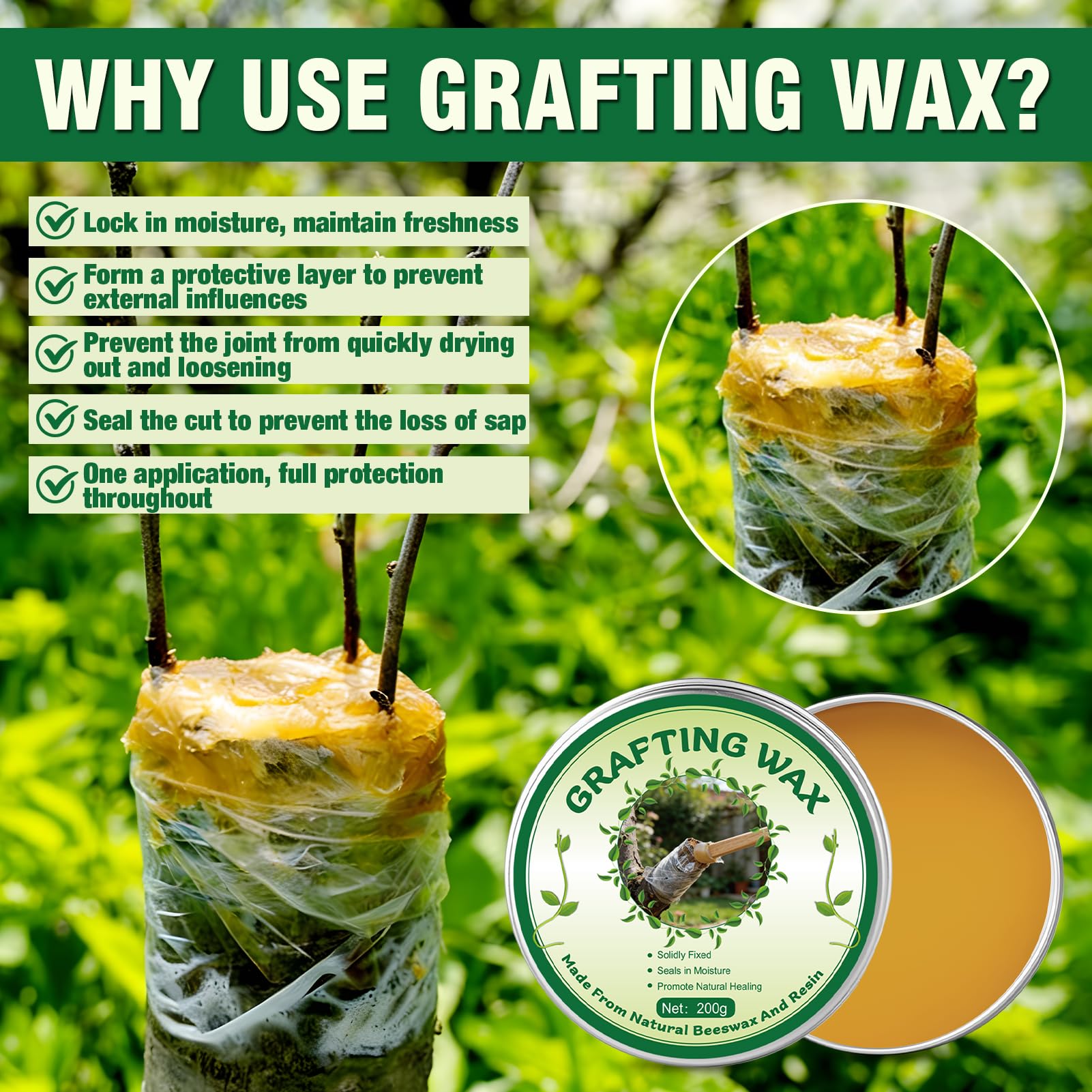 Juego de Ceras para Injertos de Arboles, Pasta Cicatrizante Poda, Cinta para Injertar, Apto Para la CicatrizacióN de Injertos en Rosales, ARboles Frutales, BonsáIs, Arbustos y Otras Planta, 200G