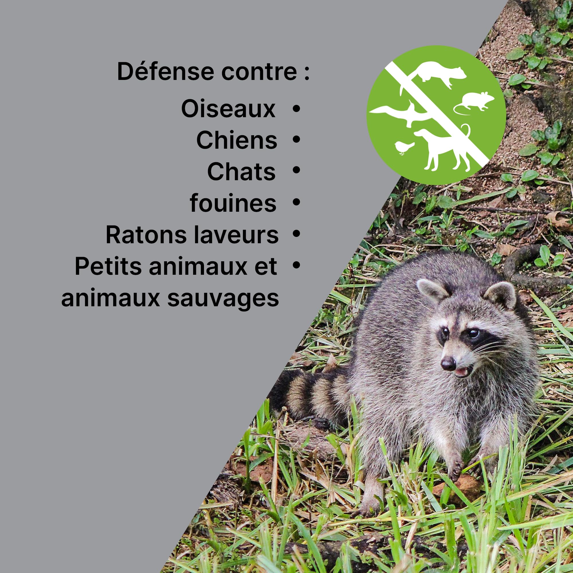 Anti Fouines Ultrason | Pour Animaux 13 Effets Sonores