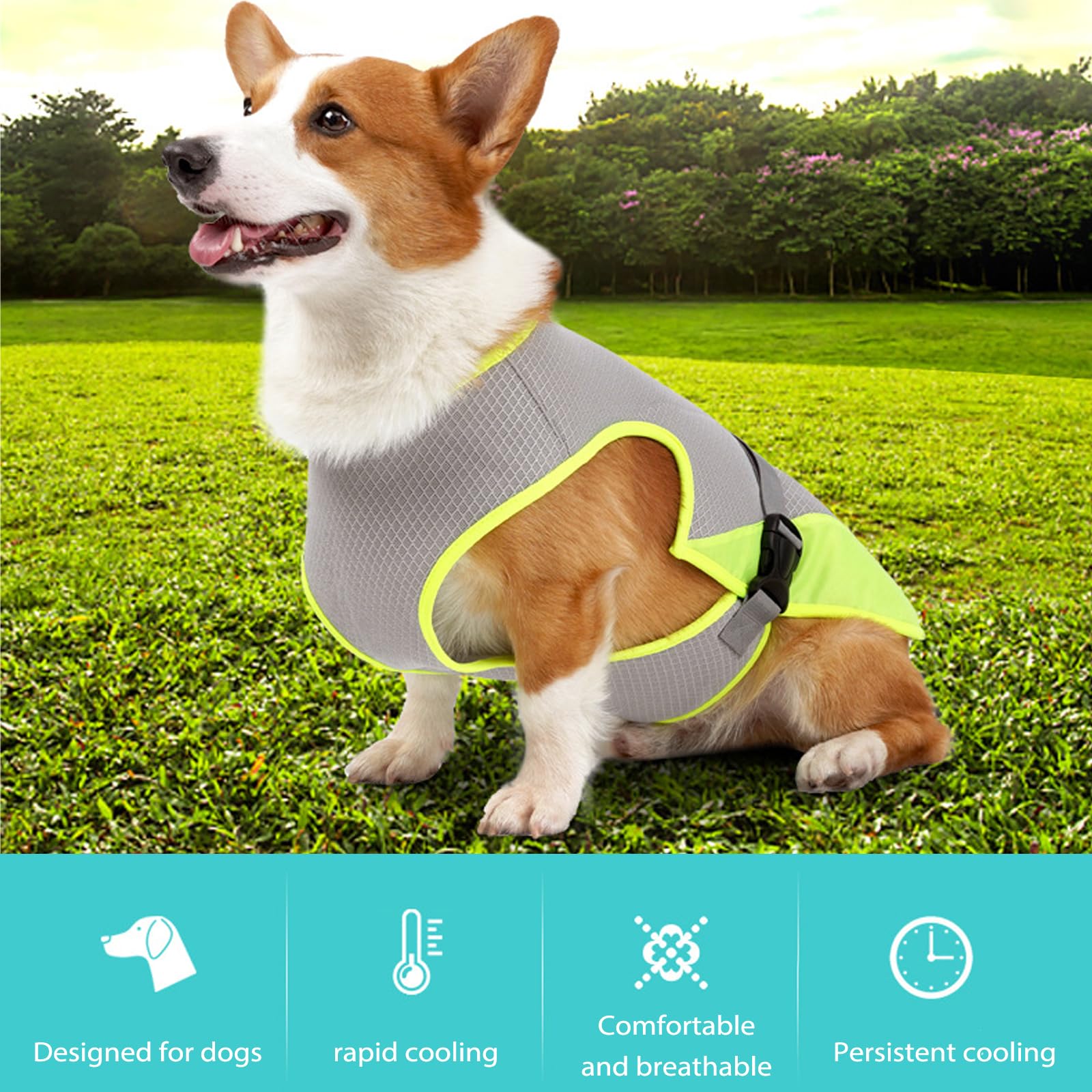 TYXHXTF Gilet de Refroidissement pour Chien, Rafraîchissant Manteau Chien, Veste de Refroidissement pour Chien, Manteau Rafraichissant Protection Contre Le Soleil Activités Extérieures pour Chiens(L)