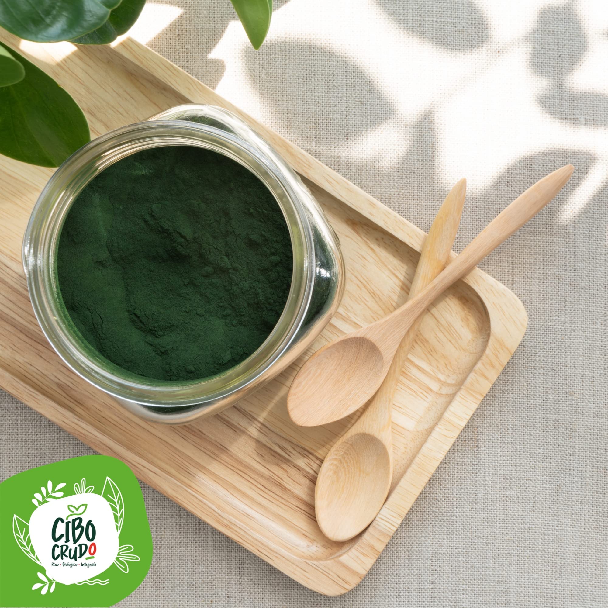 Poudre de Chlorella Bio - 500g. Algues Chlorelle Vulgaris. Avec Protéines Chlorophylle et Vitamines B12 et C Zinc et Antioxydants Pour Végétariens et Végétaliens.
