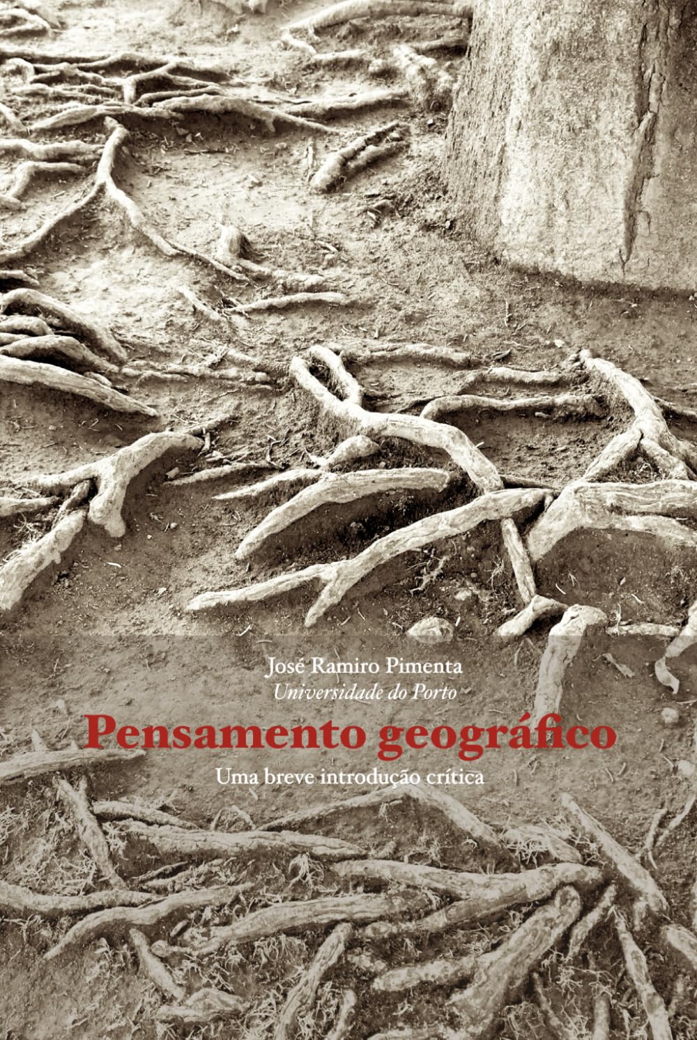 Pensamento geográfico: Uma breve introdução crítica
