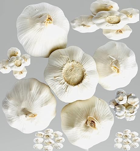 Miniatura 3 de Fresh Himalayas Bulbo entero de ajo natural (nuestro elefante Zade no es grande como tamaño de oreja de elefante) Ajo fresco grande de 5 bulbos para