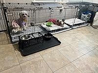 Review Image by Sandra M Sandra M