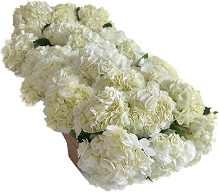 Blooms2Door PRIME NEXT DAY DELIVERY - WEDDING COLLECTION - 30 White Hydrang eas (Naturally Colored, Premium Quality) I Gift for Birthday, Anniversary, Thank You, Mother’s Day Fresh Flowers.