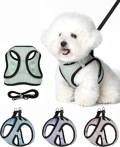 VernAlly Dog Harness Small Sized and Leash Set, Step in Soft Light Puppy Vest, Breathable Mesh Pet Harness Suitable for Puppies and Kittens. (Light Green, S(Chest:14.17-15.75"))