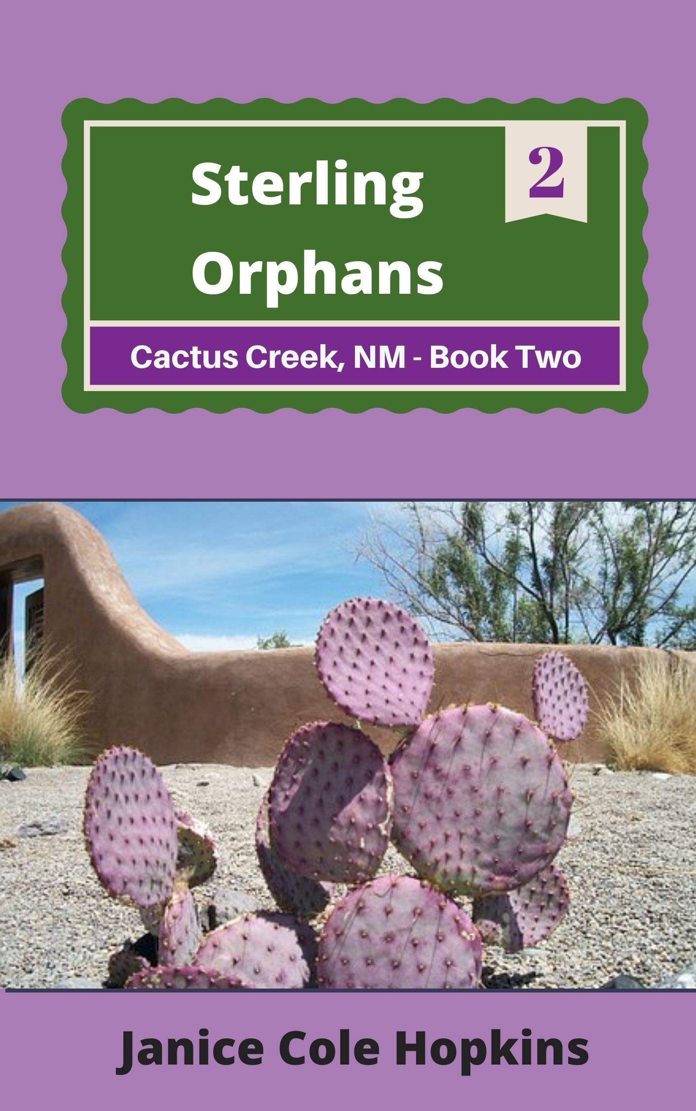 Sterling Orphans: Cactus Creek, Book Two