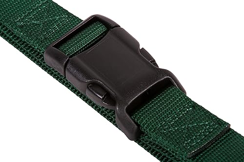 Vista 80 de GoGo Pet Products GoGo - Collar de perro Martingala de 3/8 pulgadas, talla XS, color naranja