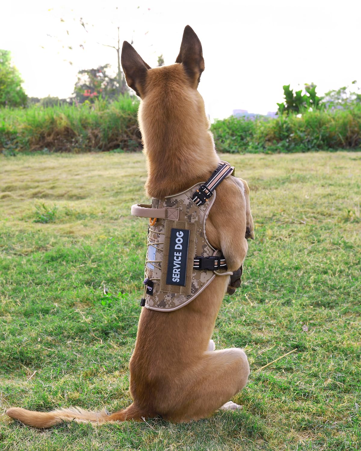 PETNANNY Arnés táctico reflectante con tarjeta de identificación, arnés de chaleco para perros medianos y grandes, chaleco de apoyo emocional con asa acolchada, 2 parches reflectantes para