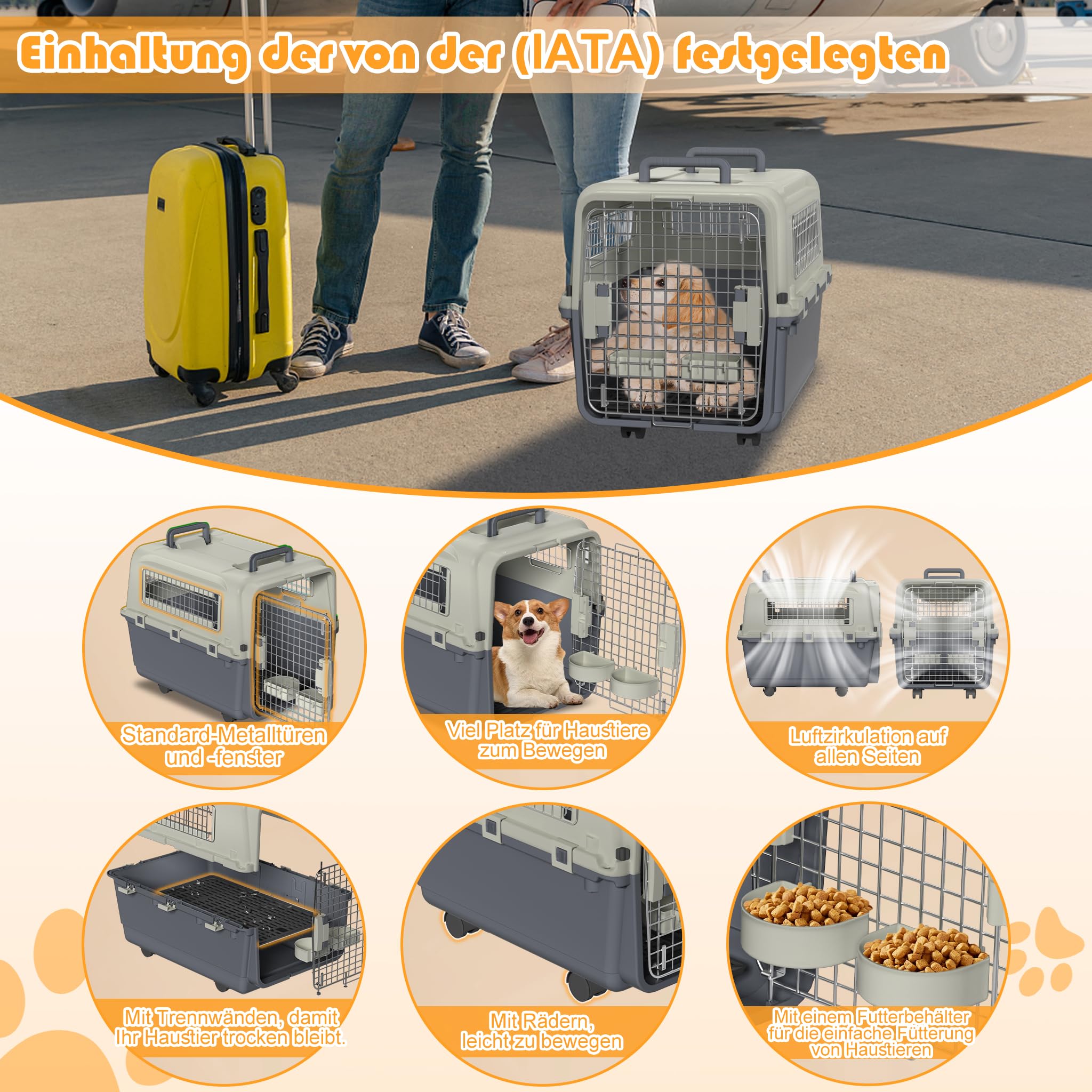 LZQ Contenitore per il trasporto di gatti, cani e animali, in plastica, per il trasporto di piccoli animali, coniglio (lunghezza 67 x larghezza 51 x
