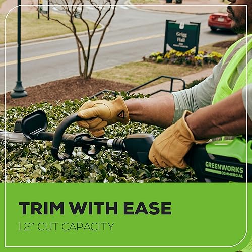 Vista 40 de Recortadora Greenworks
