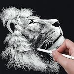 HIFORNY - Set of 8 White Charcoal Pencils - Sketch Pencils for Drawing, Sketching, Shading, Blending - White Chalk Pencils for Beginners and Artists