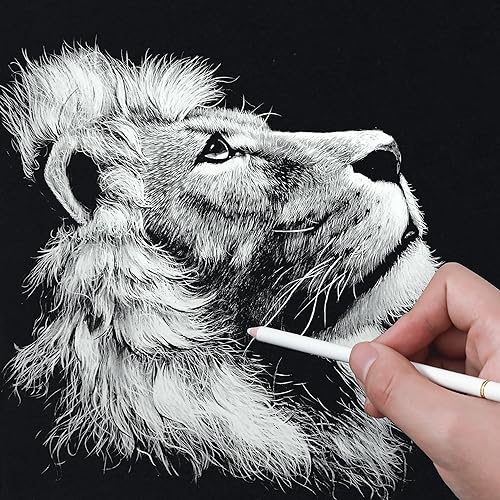 Miniatura 7 de HIFORNY Juego de 8 lápices de carbón blanco para dibujo, bocetos, sombreado, mezcla, lápices de tiza para principiantes y artistas