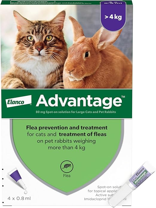 Advantage Flea Treatment 80 for Large Cats and Rabbits 4x Pipette, For