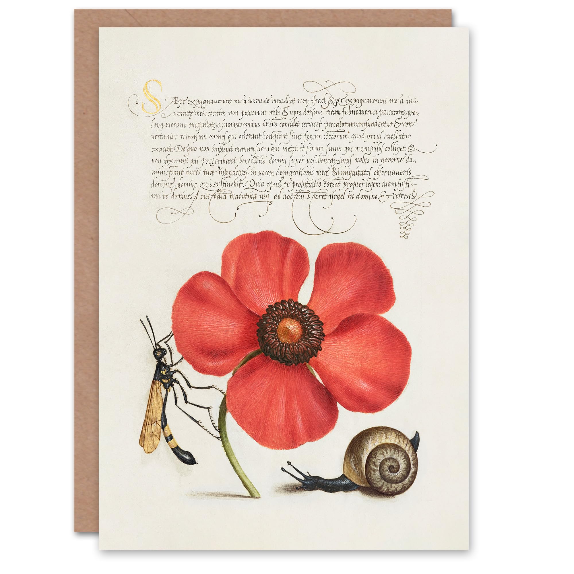 Artery8 Model Book of Calligraphy Art Card Poppy Snail and Crane Fly