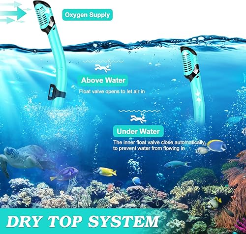 Miniatura 3 de Equipo de esnórquel para adultos, juego de 2 máscaras de esnórquel con parte superior seca, paquete de 2 máscaras de buceo, equipo de esnórquel