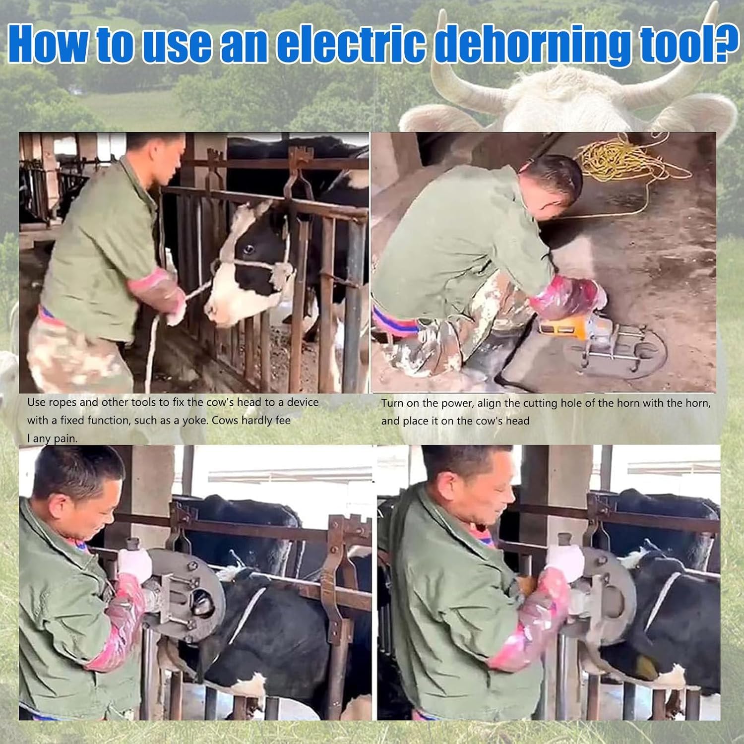 Disinnesco Elettrico 1700W 220V per Bovini, Lama Acciaio Rapido Professionale, Design a Doppia Impugnatura Sicura per Rimozione Corna Bovini Ovini Caprini, Attrezzo Fattoria Veterinario