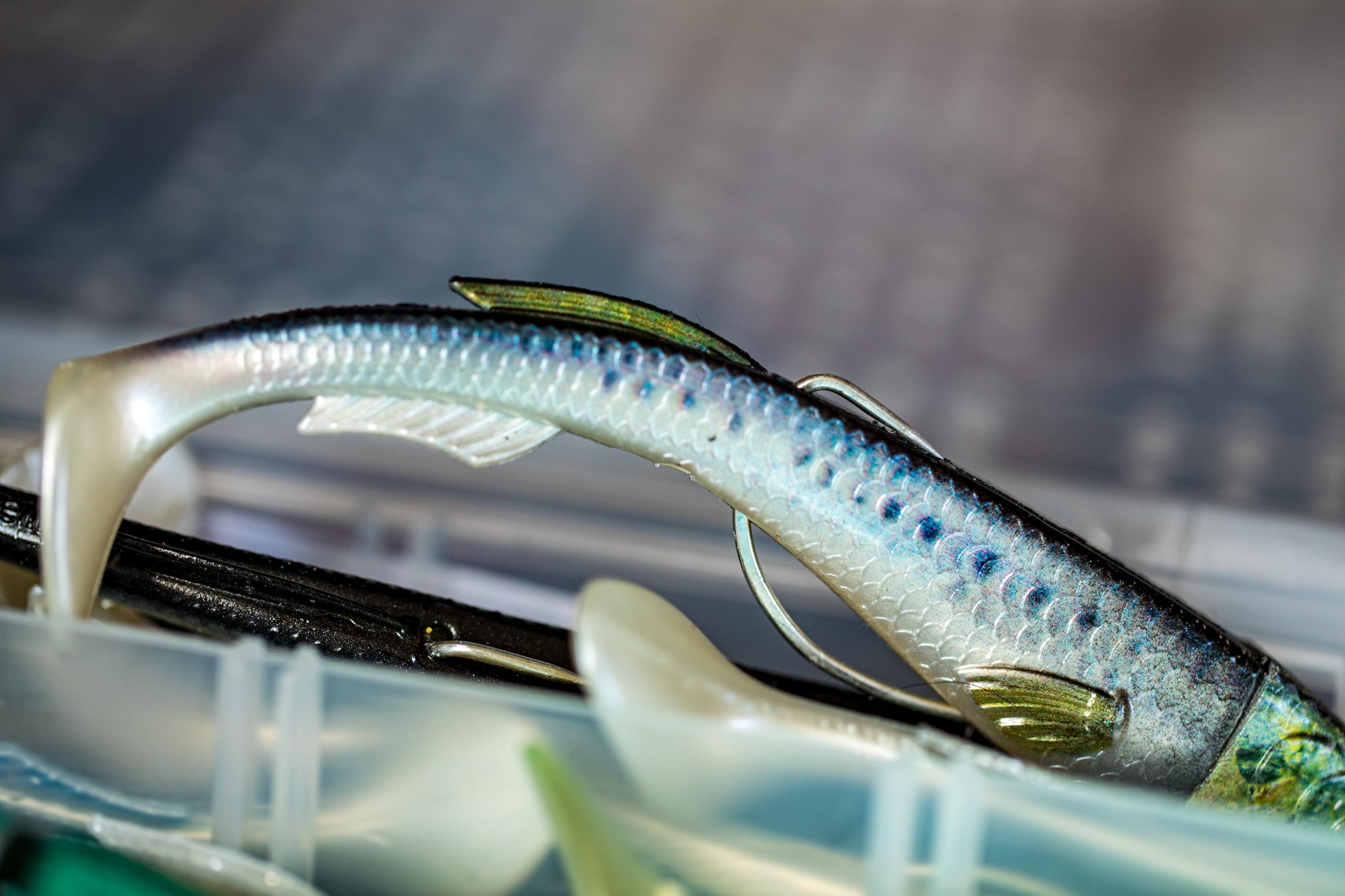 Berkley PowerBait Power Sardine - Esche da pesca