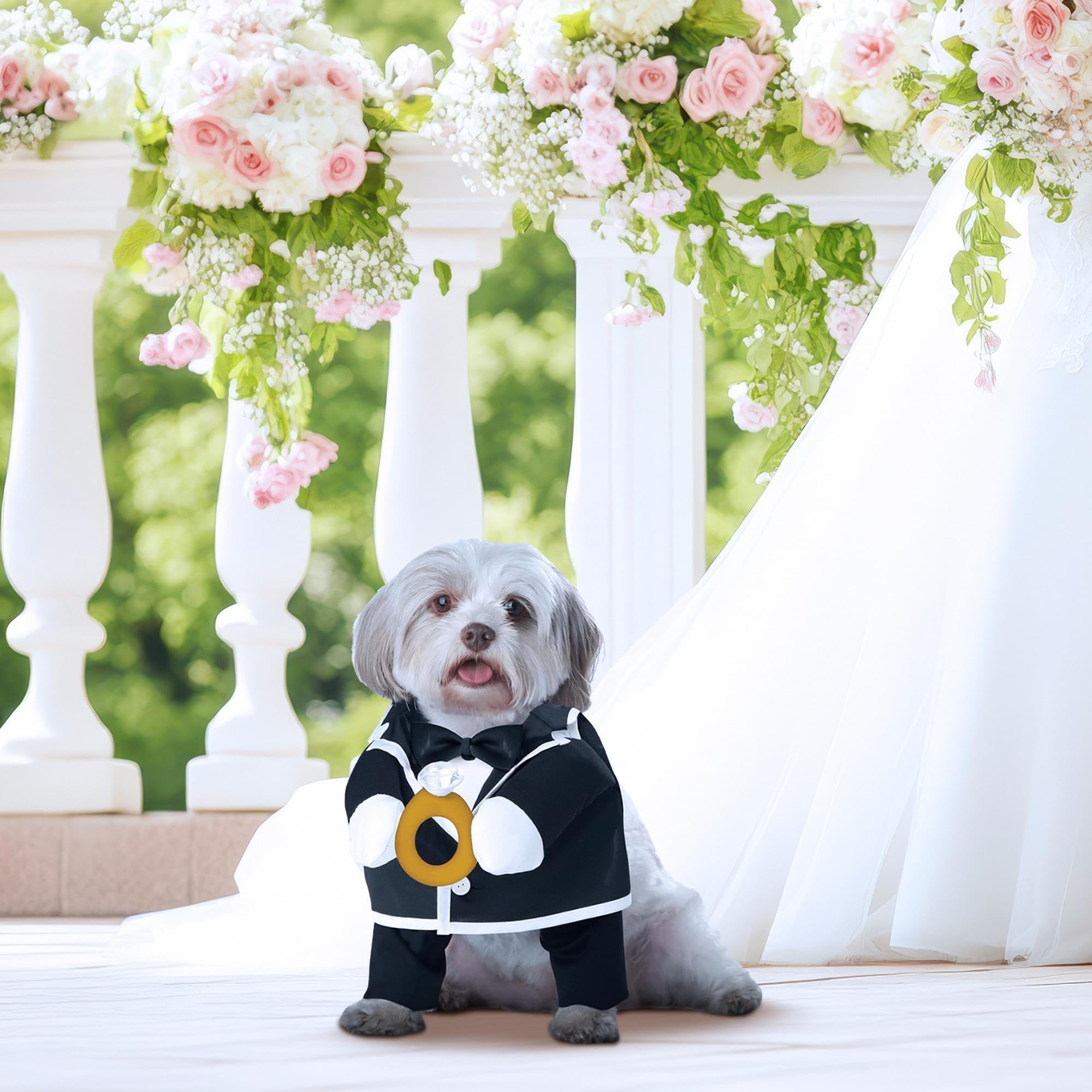 California costume Collections pup-a-razzi Puppy love-groom Dog costume, nero/bianco, piccolo