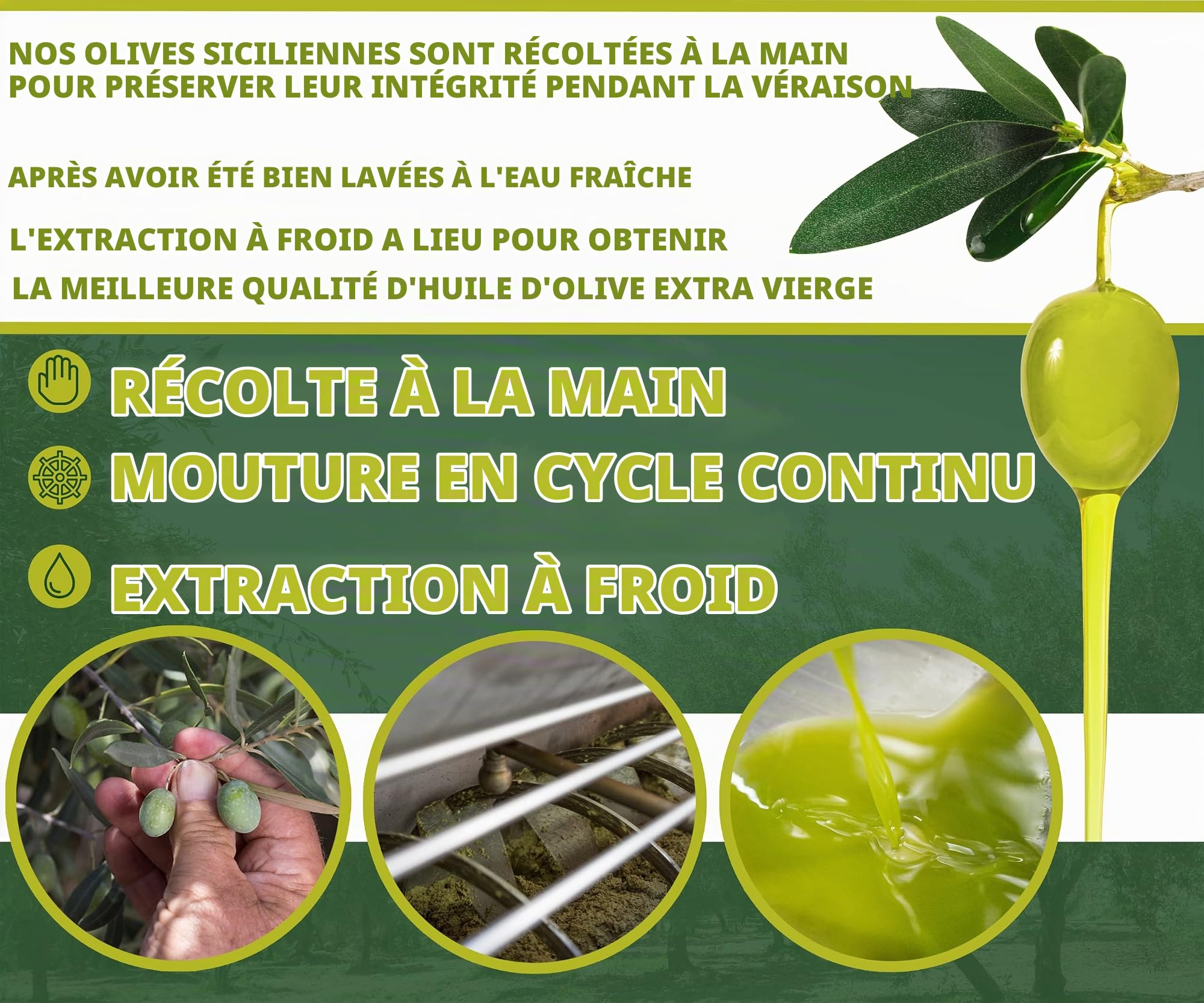 Oleificio Mallia Huile d'Olive Bio - Bidon de 5 Litres d'Huile d'Olive Vierge Biologique, Pression à Froid - Olives d'Origine Italienne - Idéale pour Cuire et Assaisonner tous Types d'Aliments - 5L