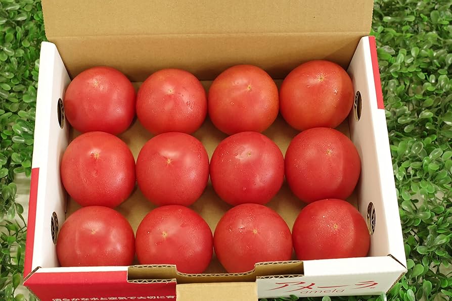 アメーラ　トマト　５箱セット アメーラトマト&ルビンズ(5パック入)セット | アメーラトマト