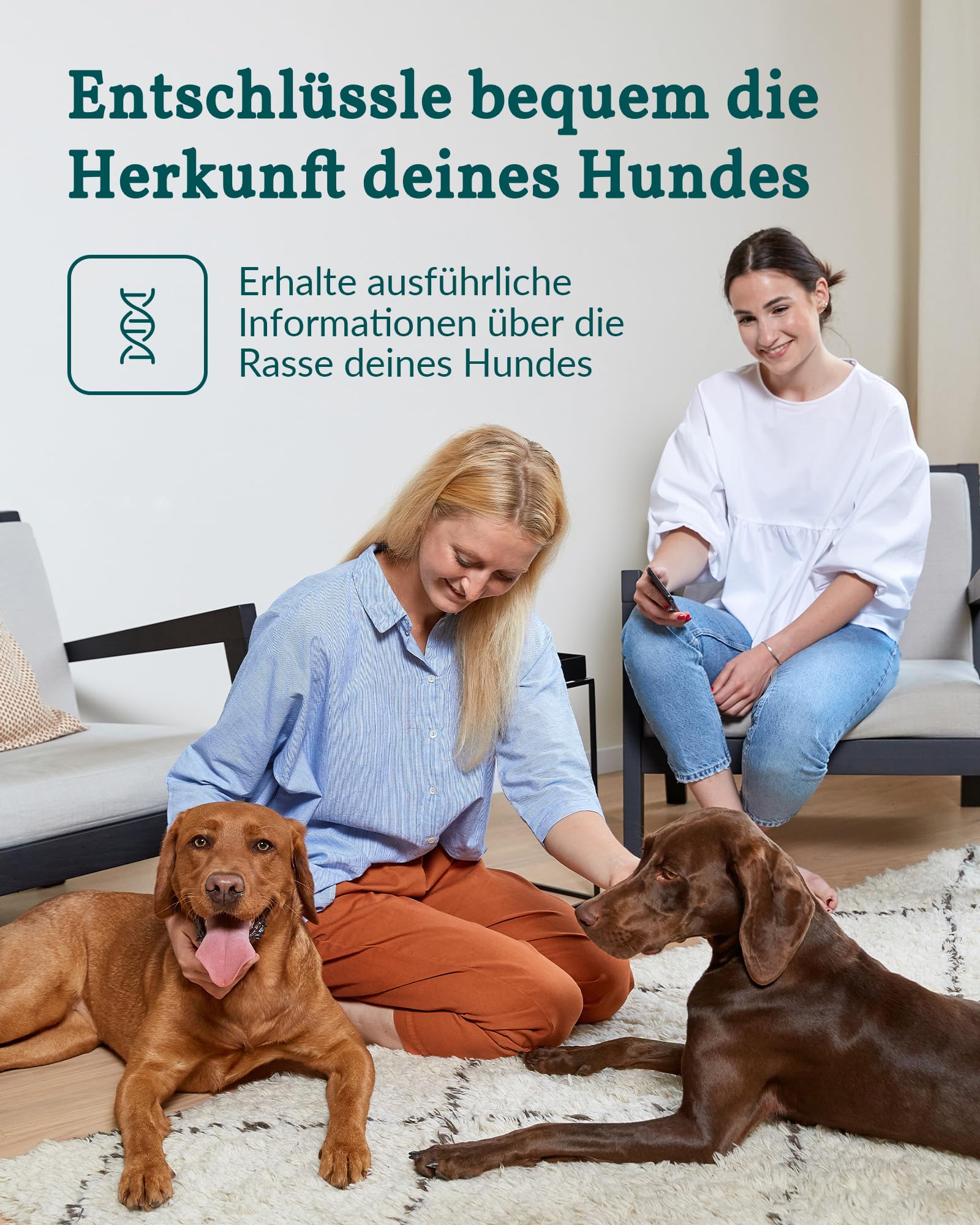 vetevo DNA Test Hund - Rassenbestimmung & MDR1 Gendefekt - 400+ Rassen | Speichelprobe bequem von zu Hause, Auswertung in der vetevo App, sorgfältige & verlässliche Laboranalyse