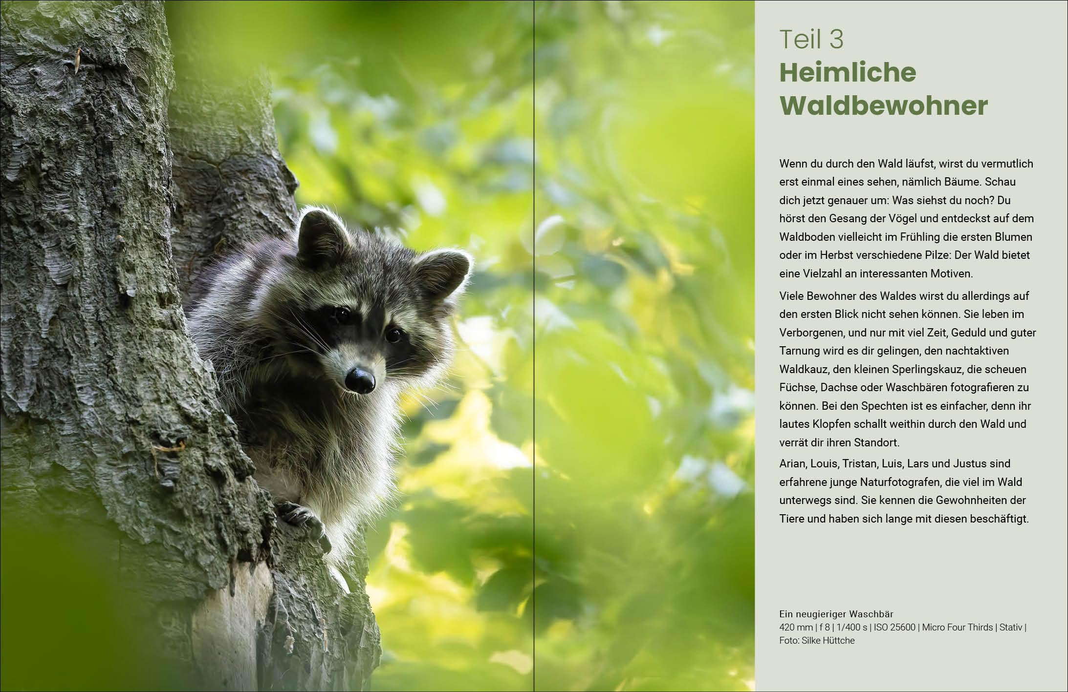 Naturfotografie für Jugendliche: Entdecke die Schönheit der Natur mit der Kamera