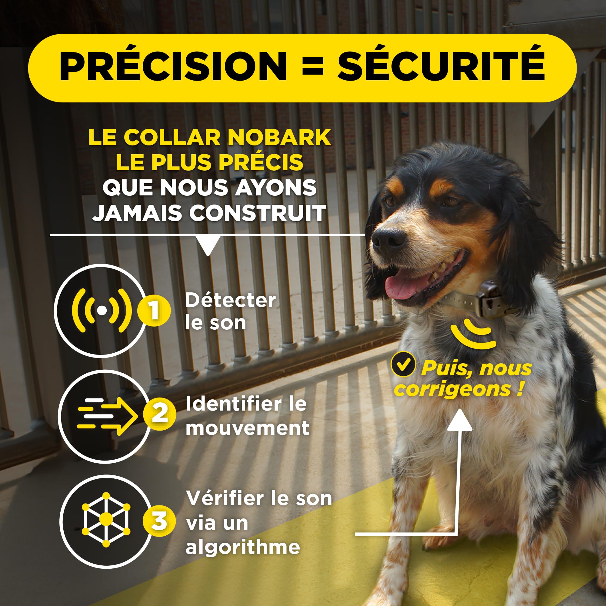Dogtra Smart NOBARK Collier Anti-aboiement, détecte gémissements et aboiements, contrôle Via app, étanche (IPX9K), Dressage portée 30m, pour Chiens de Petite Taille.