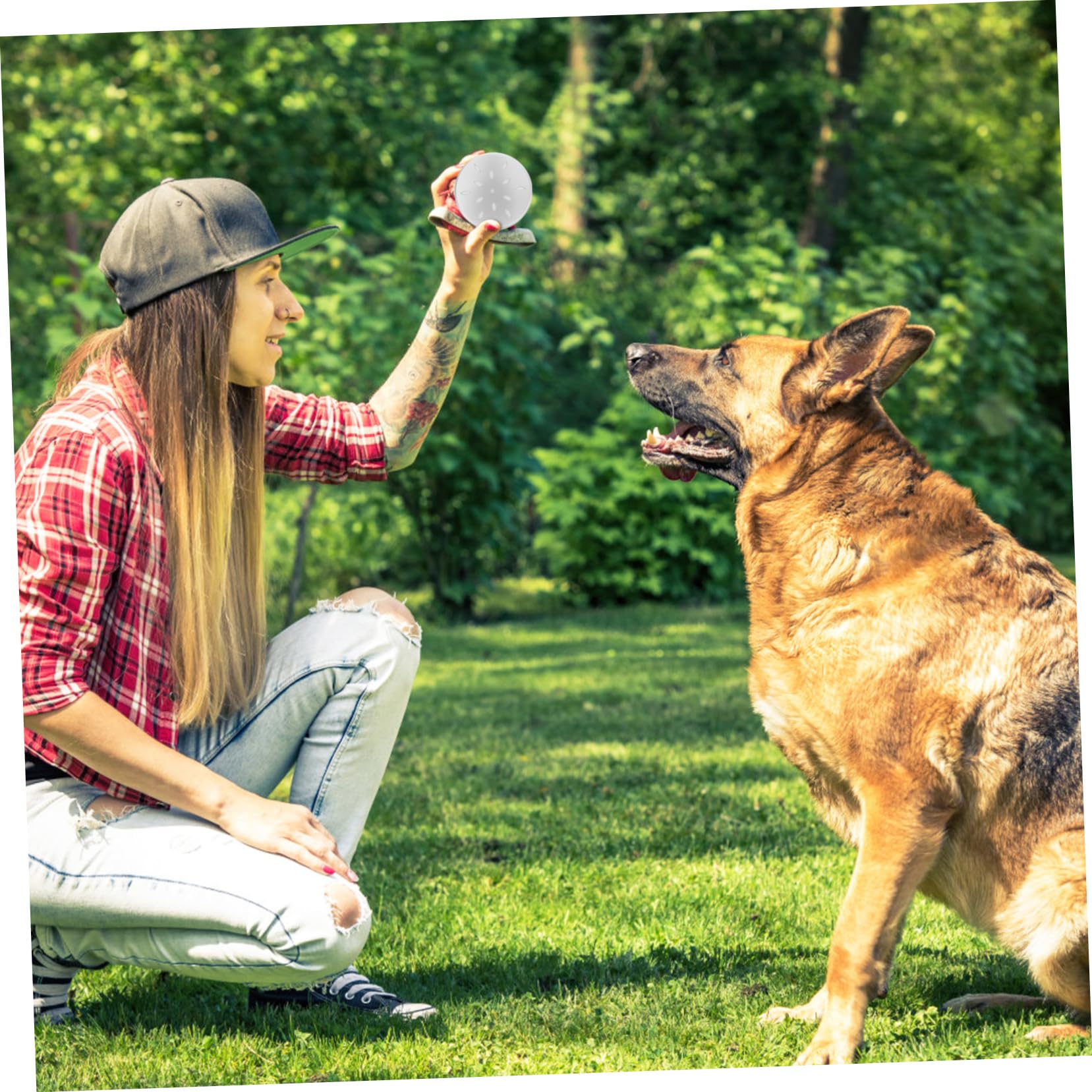 ibasenice 30 Piezas Caja de Aluminio para Entrenamiento Olfativo Canino Kit de Herramientas para de Olor Natural y Trabajo Accesorio Estable para Adiestramiento Canino