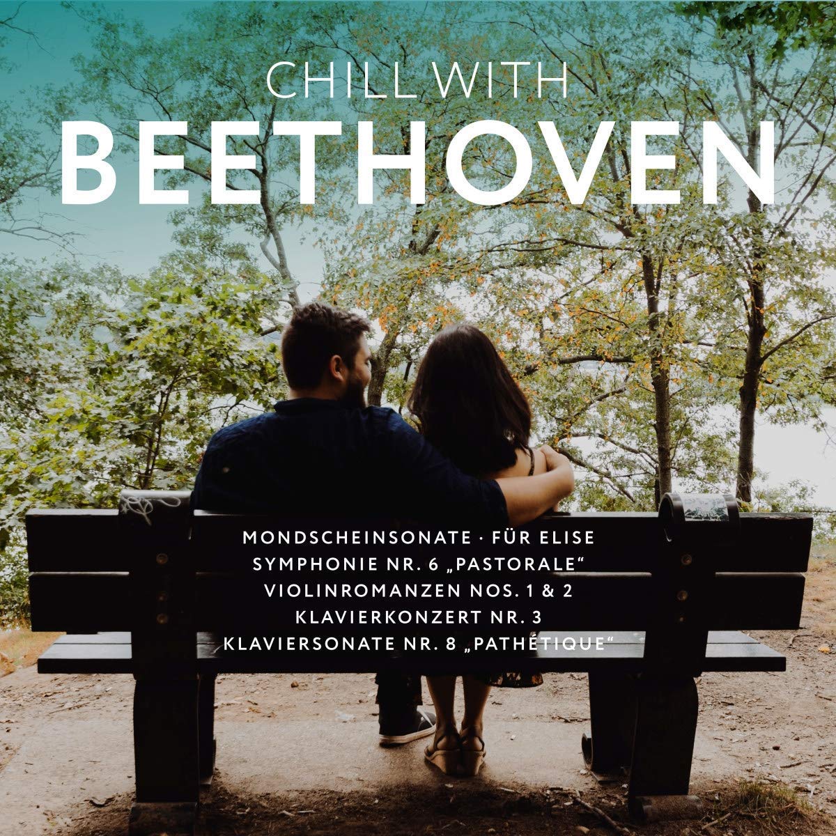 Vinyl Castle Chill With Beethoven