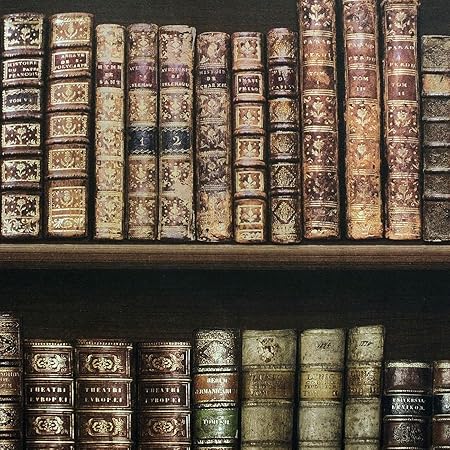 Amazon アンティーク本棚壁紙 ブラウン 5758 壁紙