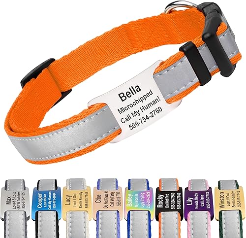 Collar GoTags reflectante personalizado para perro con placa de identificación, collar ajustable para perro con etiqueta de identificación de acero