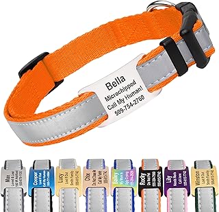 GoTags Reflective Personalized Dog Collar with Nameplate, Adjustable Dog Collar with Custom Engraved Steel Slide On Pet ID...