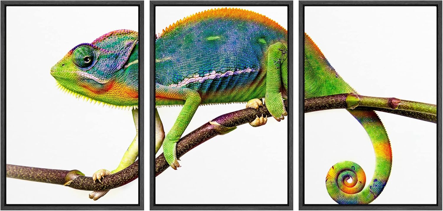 wall26 - 3 Piece Canvas Wall Art - Chameleon - Modern Home Art Stretched and Framed Ready to Hang - 24"x36"x3 Panels