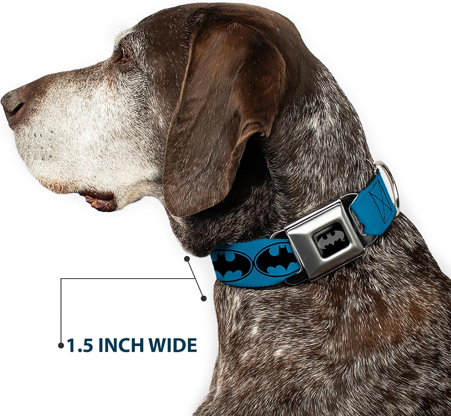 Dog Collar Seatbelt Buckle Bat Signal 3 Blue Black Blue 11 to 17 Inches 1.0 Inch Wide