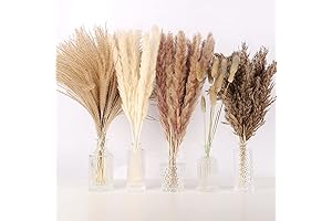 N&T NETING 75Pcs Pampas Grass Decor: Bring Nature's Charm Home
