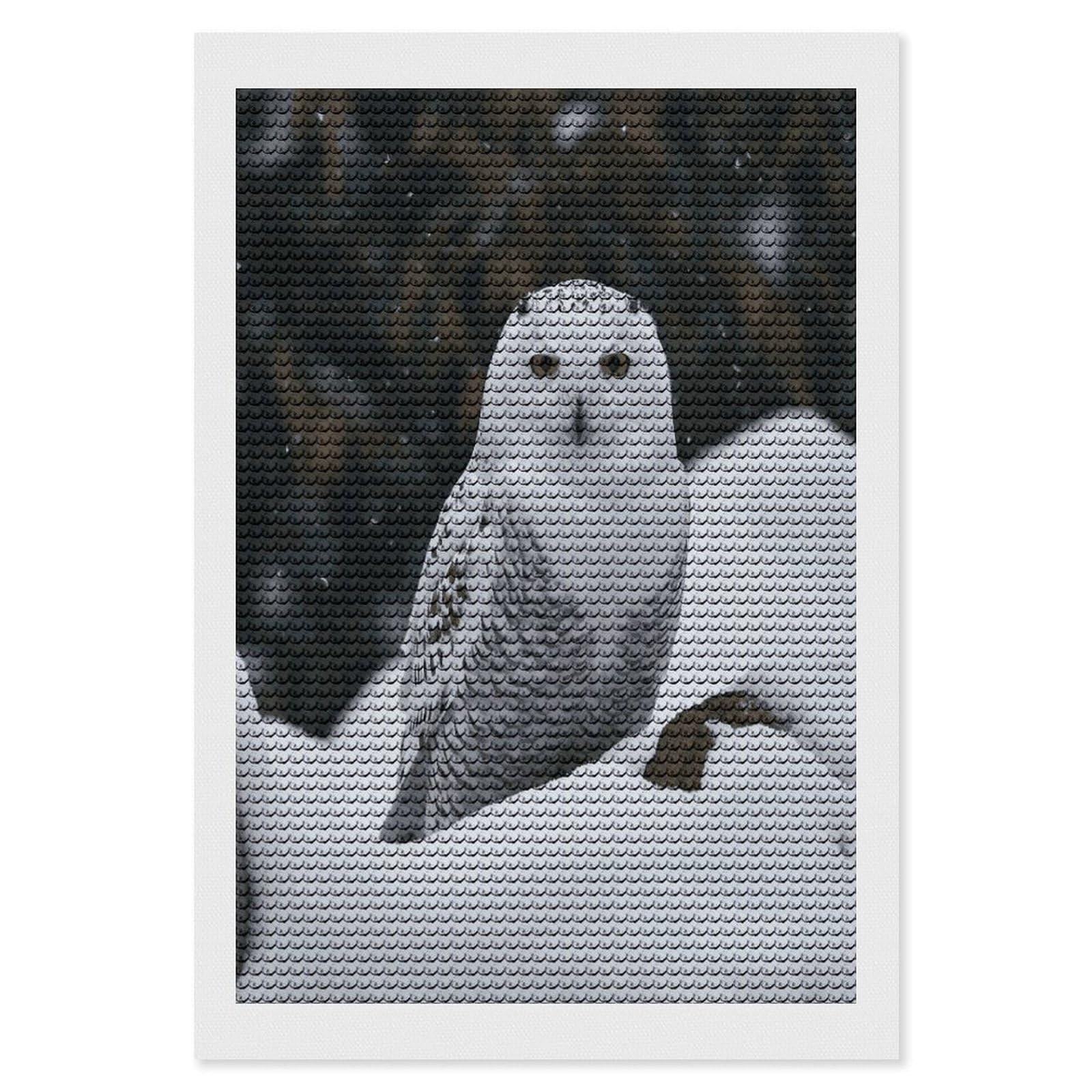 FekiLoot Snow Owl Diamond Painting Kits for Beginners DIY Diamond Art Kits for Adults Full Drill Round Diamond Dot Gem Art Painting Fun DIY Crafts for Home Kitchen Wall Decor Gift 8"x12"