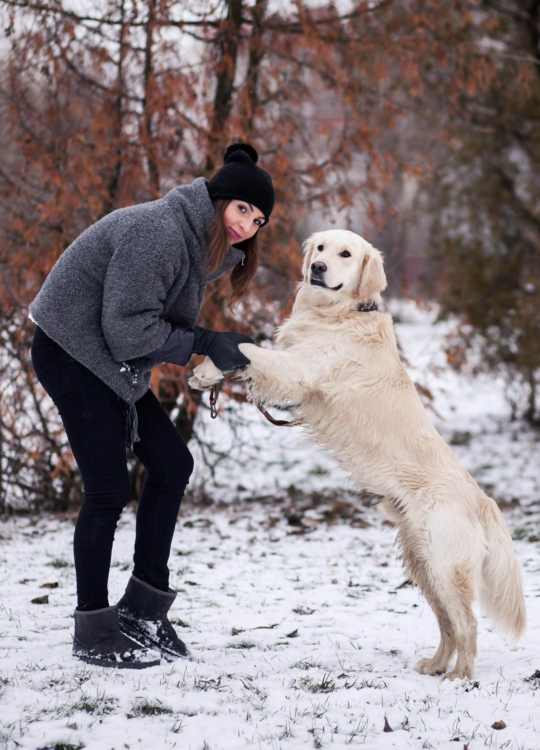 Willit - Leggings da donna foderati in pile, resistenti all'acqua, termici, invernali, trekking, yoga, corsa, vita alta
