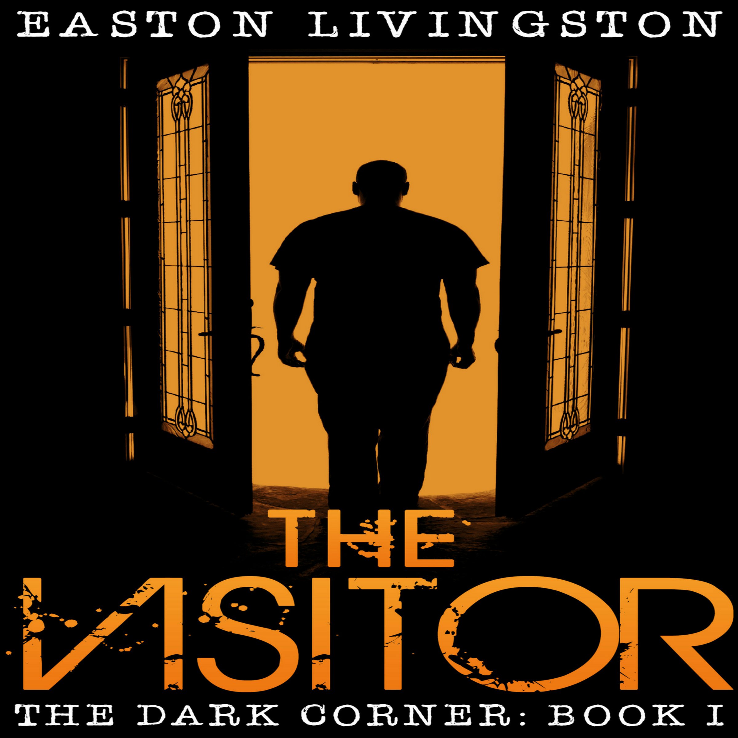 Cover art for The Visitor
