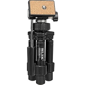 Amazon.com : SLIK Mini-Pro V Tripod with 2-Way Pan/Tilt Head