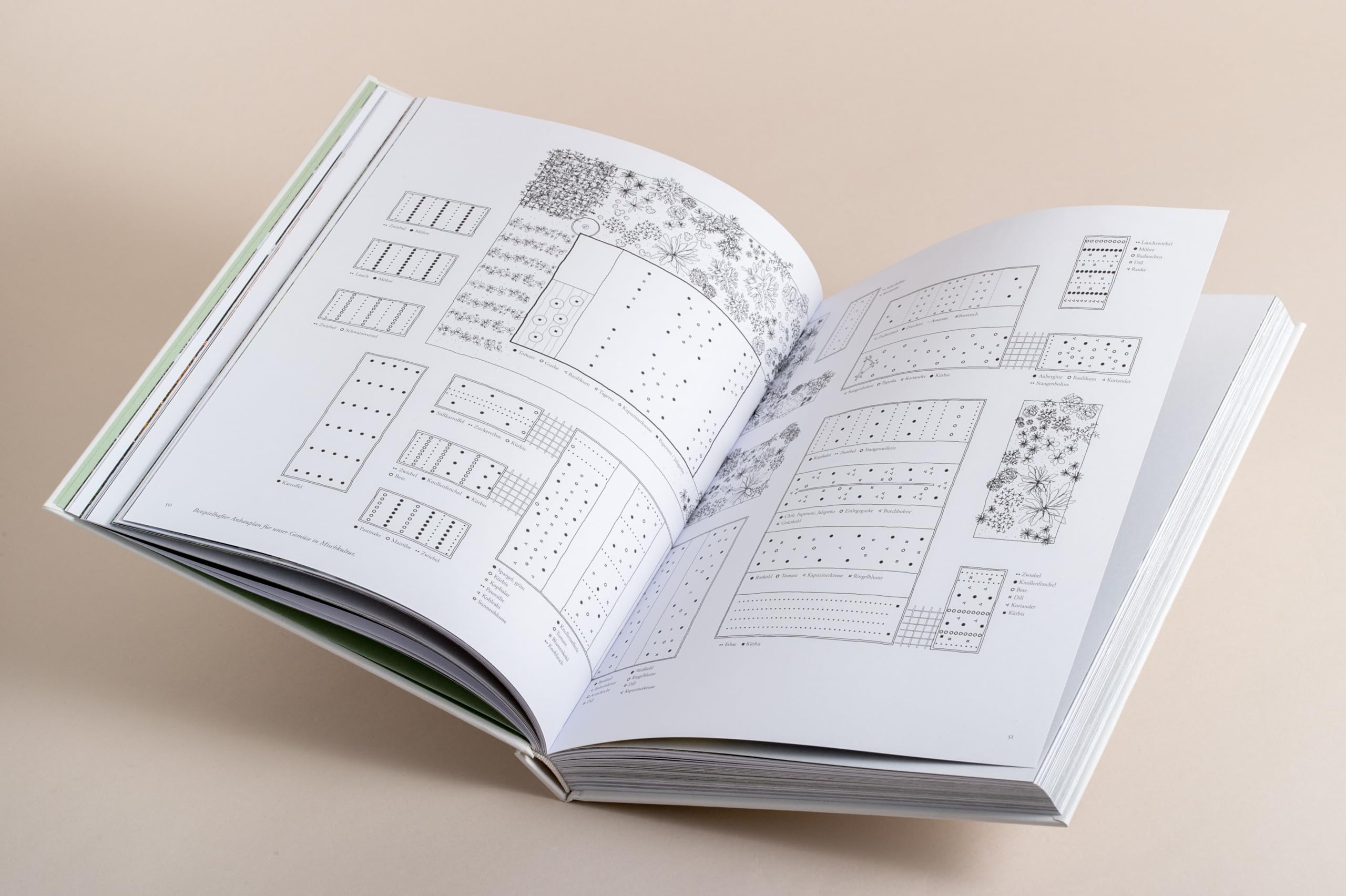 Zu den Wiesen: Vom naturnahen und artenreichen Gärtnern. Ein Gartenporträt. Das neue Buch zum Blog Krautkopf - Deutscher Gartenbuchpreis 2024