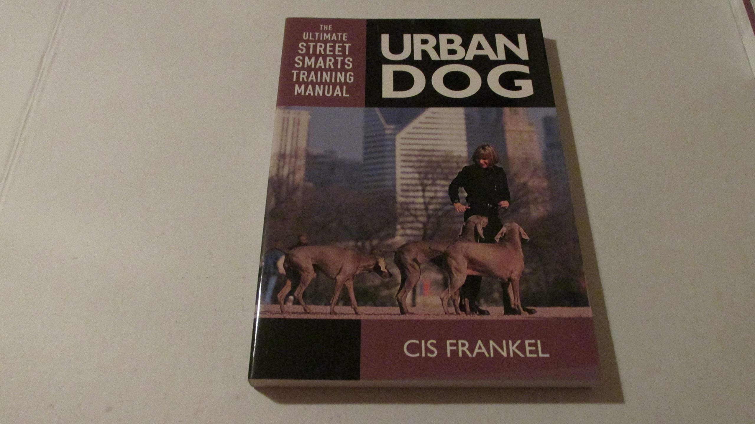 Urban Dog: The Ultimate "Street Smarts" Training Manual