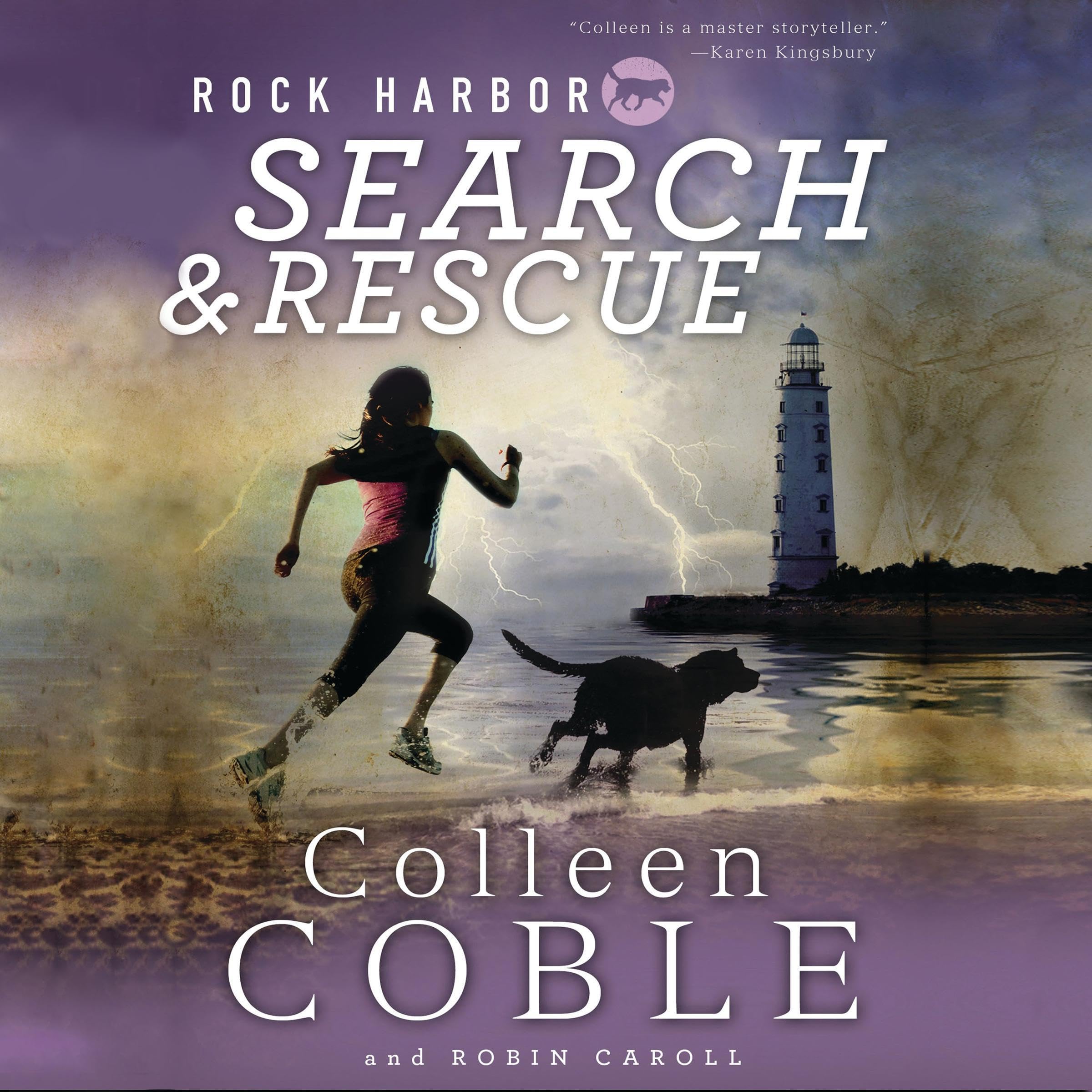 Cover art for Rock Harbor Search and Rescue