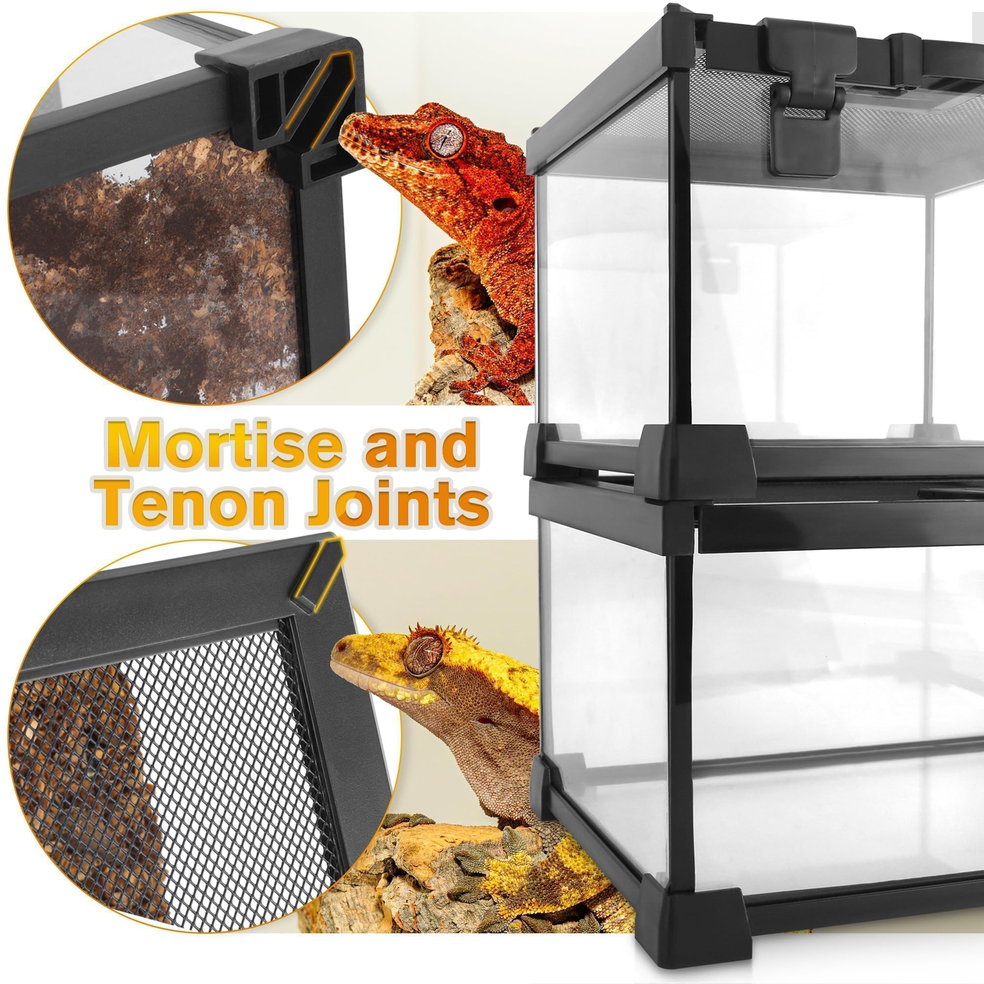 Mini terrario in vetro per rettili, 30,5 x 30,5 x 30,5 cm, a vista completa, per piccoli anfibi, gabbia per habitat in vetro, con fessura per l'alimentazione e fibbia di blocco della scatola