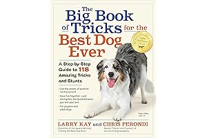 The Big Book of Tricks for the Best Dog Ever
