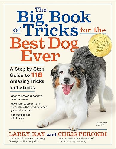 The Big Book of Tricks for the Best Dog Ever: