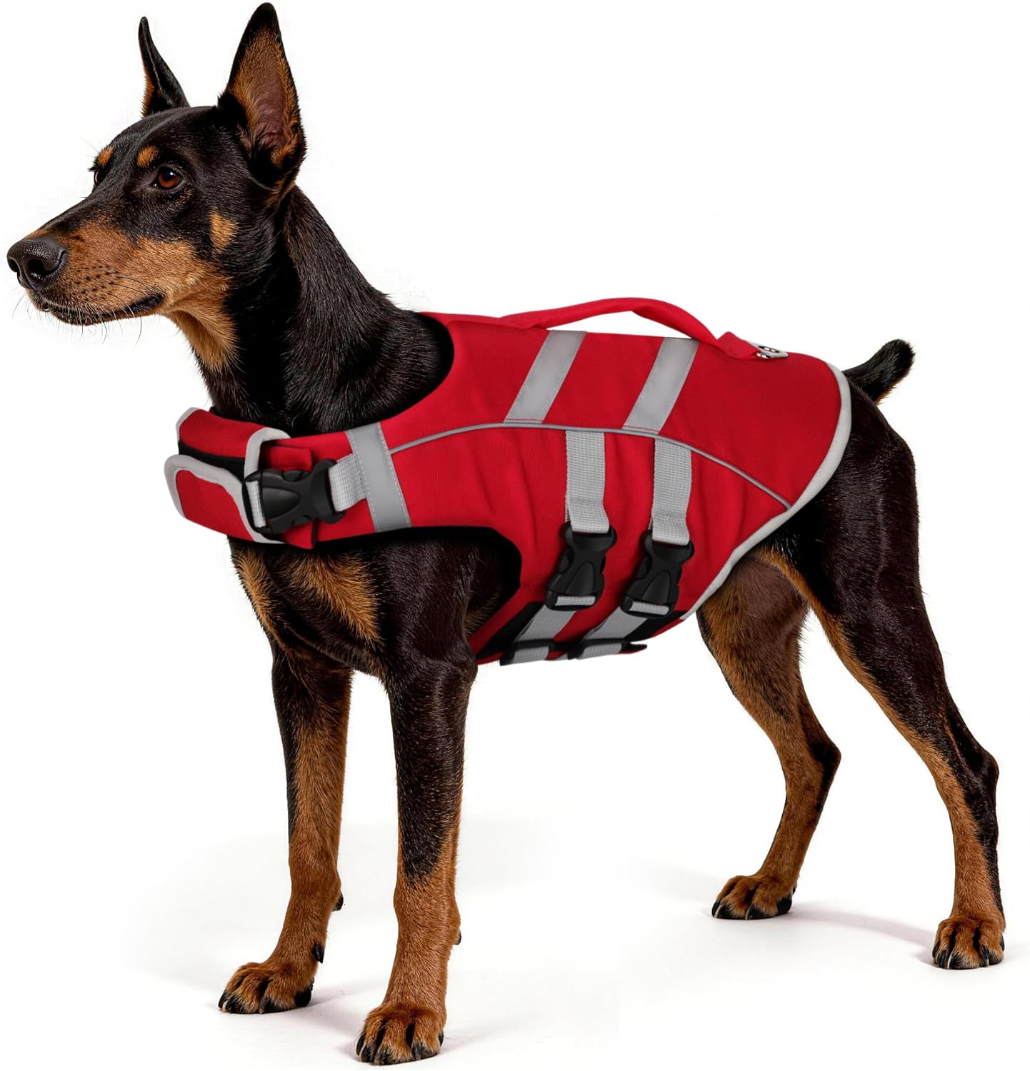 Dog Life Jacket: Ripstop High Buoyancy Swimsuit with Reflective Stripes & Rescue Handle - Adjustable Preserver with Leash Hook for Swimming, Boating & Lake Activities for Dogs Red M